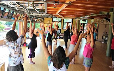 Harmonizing Coaches Spotlight: Mel Stahl